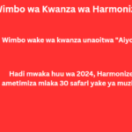 Wimbo wa Kwanza wa Harmonize
