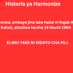 Historia ya Harmonize