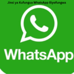 Jinsi ya Kufungua WhatsApp Iliyofungwa