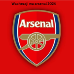 Wachezaji wa arsenal 2024