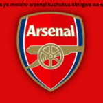 Mara ya mwisho arsenal kuchukua ubingwa wa EPL