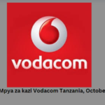 Nafasi Mpya za kazi Vodacom