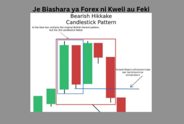 Je Biashara ya Forex ni Kweli au Feki