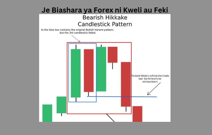 Je Biashara ya Forex ni Kweli au Feki
