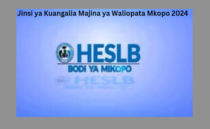 Jinsi ya Kuangalia Majina ya Waliopata Mkopo 2024