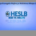 Jinsi ya Kuangalia Majina ya Waliokosa Mkopo 2024