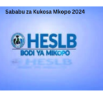 Sababu za Kukosa Mkopo 2024