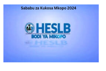 Sababu za Kukosa Mkopo 2024