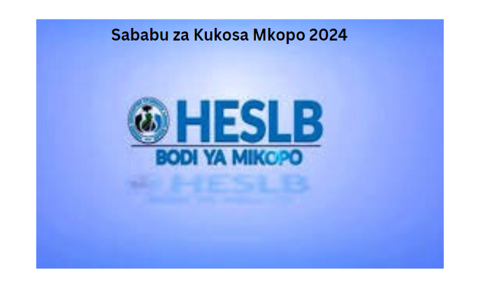 Sababu za Kukosa Mkopo 2024