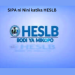 SIPA ni Nini katika HESLB