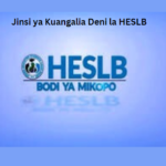 Jinsi ya Kuangalia Deni la HESLB