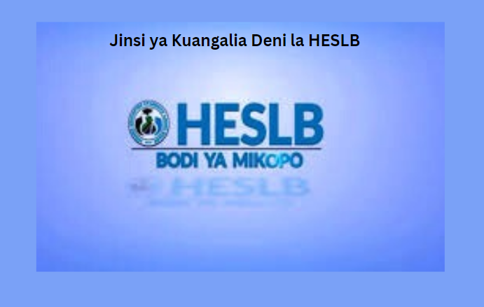 Jinsi ya Kuangalia Deni la HESLB