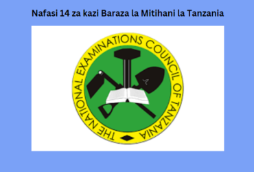 Nafasi 14 za kazi Baraza la Mitihani la Tanzania