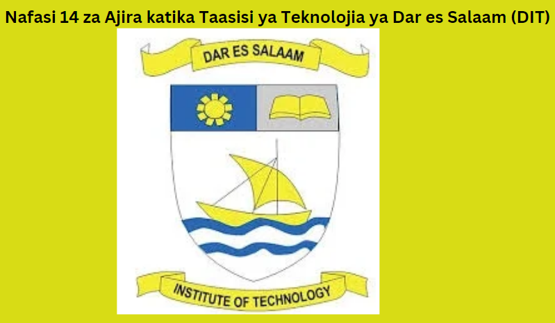 Nafasi 14 za Ajira katika Taasisi ya Teknolojia ya Dar es Salaam (DIT)