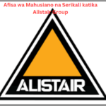 Afisa wa Mahusiano na Serikali katika Alistair Group