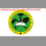 Nafasi Za Kazi Kutoka NECTA 2024