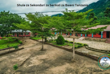 Shule za Sekondari za Serikali za Bweni Tanzania