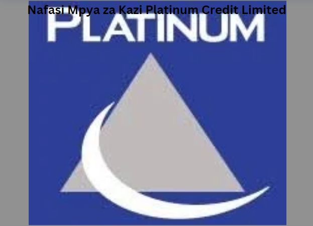 Nafasi Mpya za Kazi Platinum Credit Limited