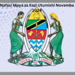 Nafasi Mpya za Kazi Utumishi Novemba 2024