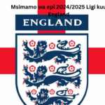 Msimamo wa epl 2024/2025 Ligi kuu England