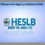 Mikopo kwa Ngazi ya Diploma 2024