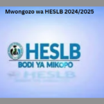 Mwongozo wa HESLB 2024/2025