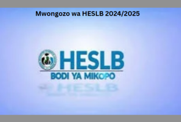 Mwongozo wa HESLB 2024/2025