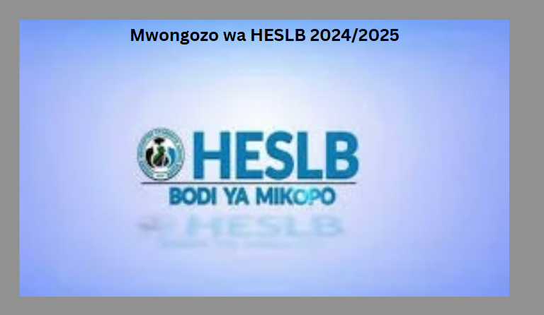 Mwongozo wa HESLB 2024/2025