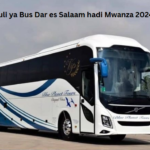 Nauli ya Bus Dar es Salaam hadi Mwanza