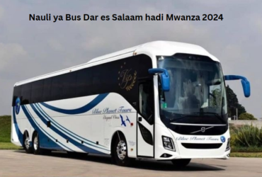 Nauli ya Bus Dar es Salaam hadi Mwanza