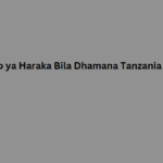 Mikopo ya Haraka Bila Dhamana Tanzania