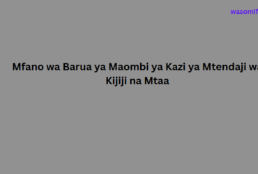 Mfano wa Barua ya Maombi ya Kazi ya Mtendaji wa Kijiji na Mtaa