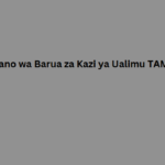 Mfano wa Barua za Kazi ya Ualimu TAMISEMI