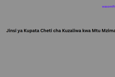 Jinsi ya Kupata Cheti cha Kuzaliwa kwa Mtu Mzima