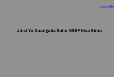 Jinsi Ya Kuangalia Salio NSSF Kwa Simu