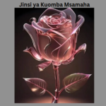 Jinsi ya Kuomba Msamaha