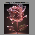 Meseji za Kuomba Msamaha