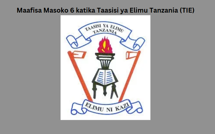 Maafisa Masoko 6 katika Taasisi ya Elimu Tanzania (TIE)