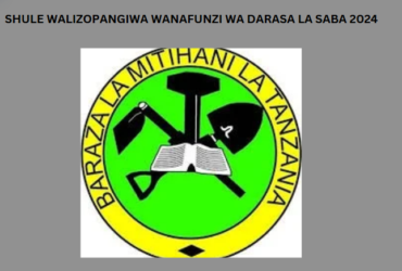 Shule Walizopangiwa Wanafunzi wa Darasa la Saba 2024