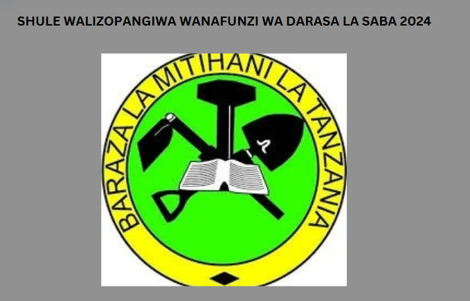 Shule Walizopangiwa Wanafunzi wa Darasa la Saba 2024