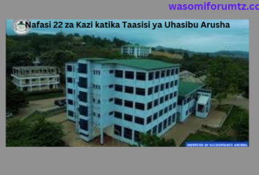 Nafasi 22 za Kazi katika Taasisi ya Uhasibu Arusha