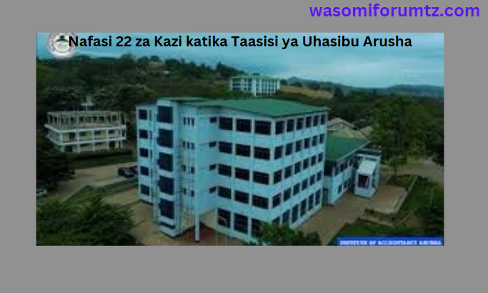 Nafasi 22 za Kazi katika Taasisi ya Uhasibu Arusha