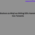 Biashara za Mtaji wa Shilingi Elfu Hamsini kwa Tanzania