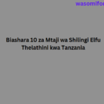 Biashara 10 za Mtaji wa Shilingi Elfu Thelathini