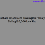 Biashara Zinazoweza Kukuingizia Faida ya Shilingi 20,000 kwa Siku