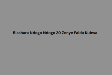 Biashara Ndogo Ndogo 20 Zenye Faida Kubwa