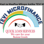 Nafasi 3 za Kazi za Maafisa Mikopo katika TEVI Microfinance