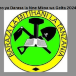 Matokeo ya Darasa la Nne Mkoa wa Geita 2024