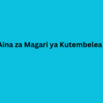 Aina za Magari ya Kutembelea