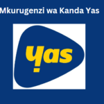 Mkurugenzi wa Kanda